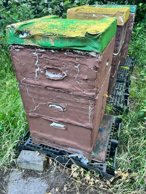 Bienenbeute die durch einen Brand in der Nähe verformt ist
